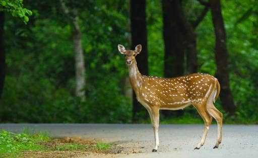 Photo of Nagpur